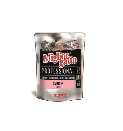 Miglior gatto professional salmonegr 100