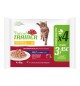 Trainer Bustine gatto Adult al Pollo Flowpack 4 buste 85 gr
