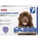 Antiparassitari per cani di taglia grande 40-60 kg Caniguard Duo 4 pipetta