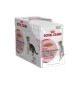 Royal Canin Kitten gravy in salsa da 85 gr