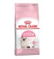 Royal Canin Kitten second age gattini fino a 12 mesi di età