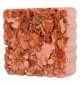 Snack per Roditori da rosicchiare Trixie