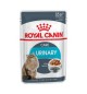 Urinary Care royal canin 85 gr