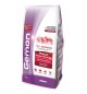 Gemon Monge Adult Action Energy 15 kg