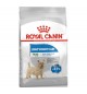 Royal Canin Light Weight Care cane mini 1 kg