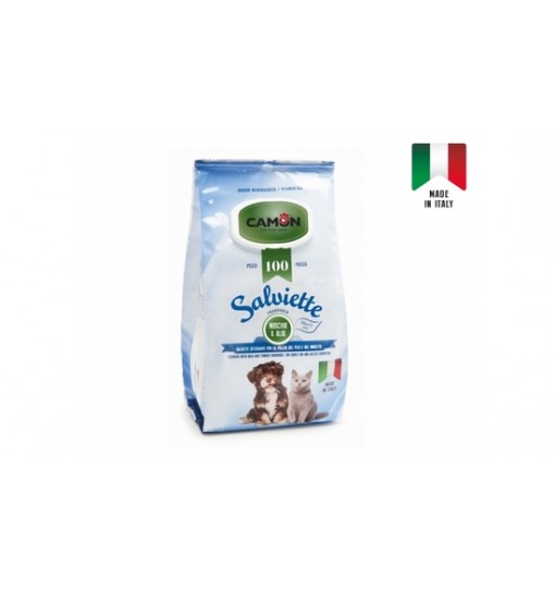 Salviette Detergenti fragranza Muschio e aloe 100 pz
