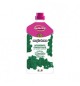 Detergente concentrato Inodorina magic home profumo Muschio Bianco 1 litro