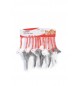 Gioco per gatto Crazy mouse AG 030 camon