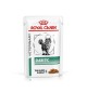 Diabetic royal canin Bustine 85 grVeterinary Formula gatto
