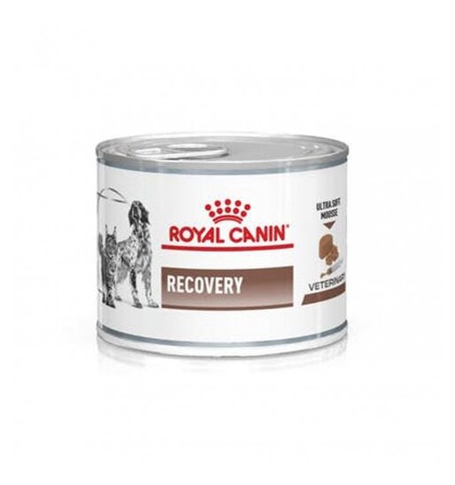 Royal Canin Recovery 195gr