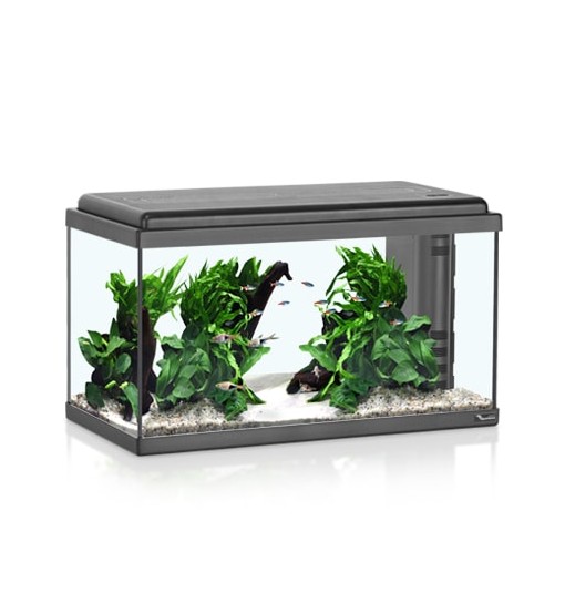 Acquario 60 led Bio Aquatlantis