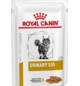 Royal Canin Urinary S/O Pollo 100 grLoaft patè