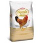 Nostrale Pulcingiallo per pulcini raggio di sole