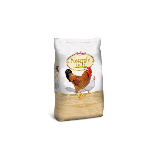 Nostrale Pulcingiallo per pulcini raggio di sole