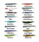 Black minnow 70 n 1 colore Kaki 3 gr Shore BM 492