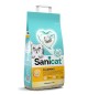 Sanicat lettiera agglomerante clumping 10 L