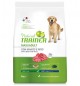 Natural Trainer manzo maxi 12 kg