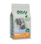Oasy Cat Kitten Pollo 300 gr