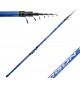Canna Bolognese argon mt 6 azione 20/40 gr