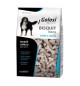 Biscotti per cani golosi Latte e miele 600 gr