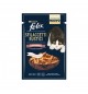 Felix Sfilaccetti rustici in salsa con Salmone 80 gr