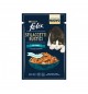 Felix Sfilaccetti rustici in salsa con Tonno 80 gr