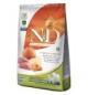 ADULT MEDIUM & MAXI PUMPKIN 2,5 Kg CINGHIALE , ZUCCA E MELA