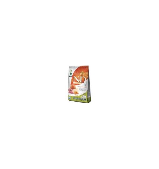 ADULT MEDIUM & MAXI PUMPKIN 2,5 Kg CINGHIALE , ZUCCA E MELA