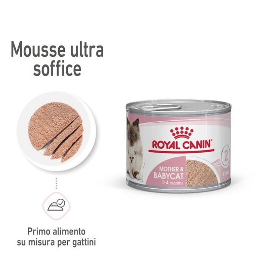 Royal Canin Babycat 195 gr