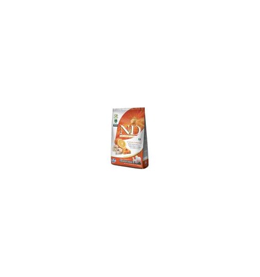 ADULT MEDIUM & MAXI PUMPKIN 2,5 Kg MERLUZZO, ZUCCA E ARANCIA