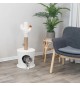 Tiragraffi per gatti Nicchia relax con cactus 36x84h
