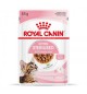 Royal Canin Kitten sterilizzato in salsa 85 gr