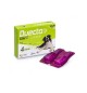 Antiparassitario Duecto cane 10/20 kg 4 fiale Candioli