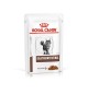 Royal Canin Gastrointestinal Feline Veterinary umido per gatti 85 gr
