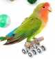 Gioco per pappagalli Bird mini roller Skates1 coppia di pattini