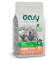 Oasy adult al salmone medium maxi 2,5 kg