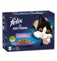 Felix le Ghiottonerie in gelatina 10 pz 85 gr