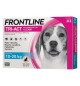 Frontline Tri Act per cani da 10/20 kg 6 fiale da 2 ml