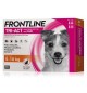 Frontline Tri Act per cani da 5/10 kg 6 fiale da 1 ml