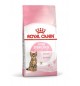 Royal canin Kitten sterilizzato da 6 a 12 mesi 2 kg