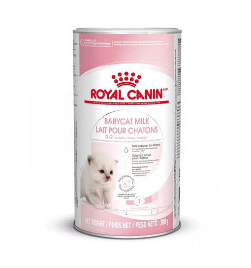 Babycat milk Royal canin 300 gr
