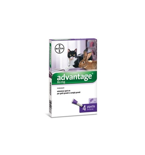 ADVANTAGE 80 mg AntipulciPER GATTI GRANDI E CONIGLI GRANDI
