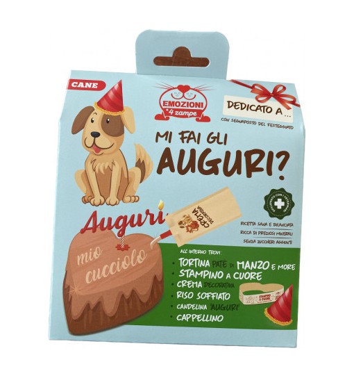 Torta di compleanno per cani con pate di salmone e mirtilli crema decorativa e riso soffiato