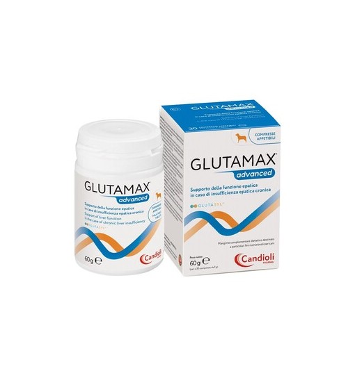 Glutamax advanced per gatti in pasta 30 gr Candioli