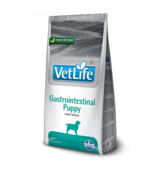 Vet life dog gastrointestinal puppy 2 kg