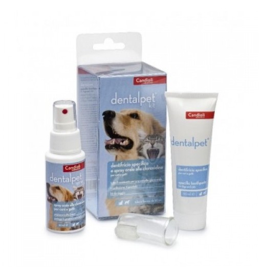 Dentalpet Kit dentifricio e spray specifico per cani e gatti candioli 50 ml