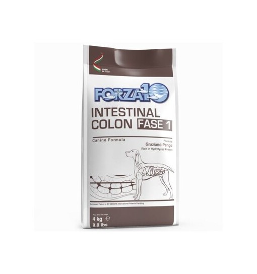 Forza 10 Intestinal colon Fase 1 4 kg