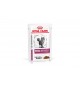 Royal Canin Renal con Manzo Umido 85g