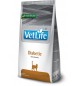 Vet life Diabetic 2 Kg gatto