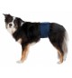 Fascia Igenica per cani maschi mis M trixie